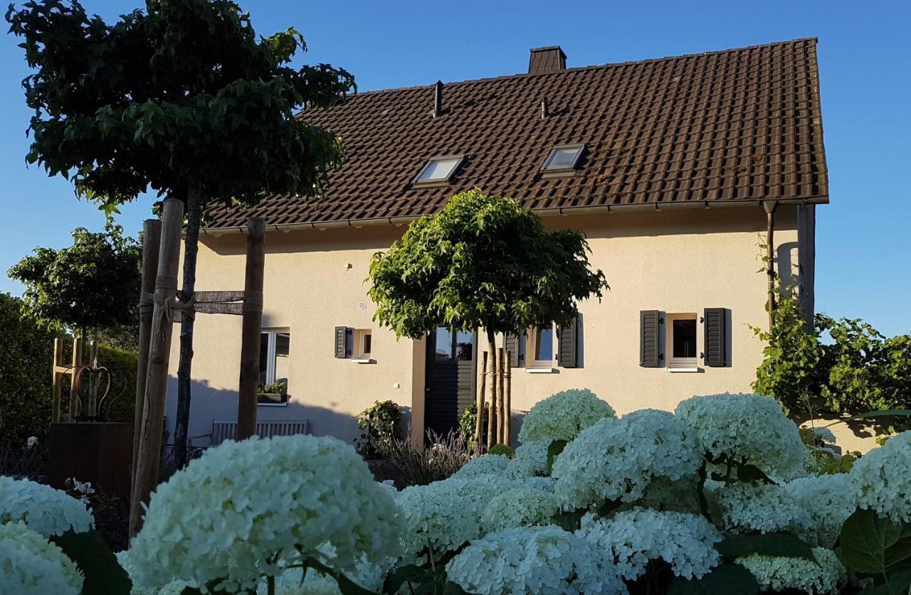 Gleisberg3 - Suedliche Weinstrasse Apartment Billigheim-Ingenheim Exterior photo